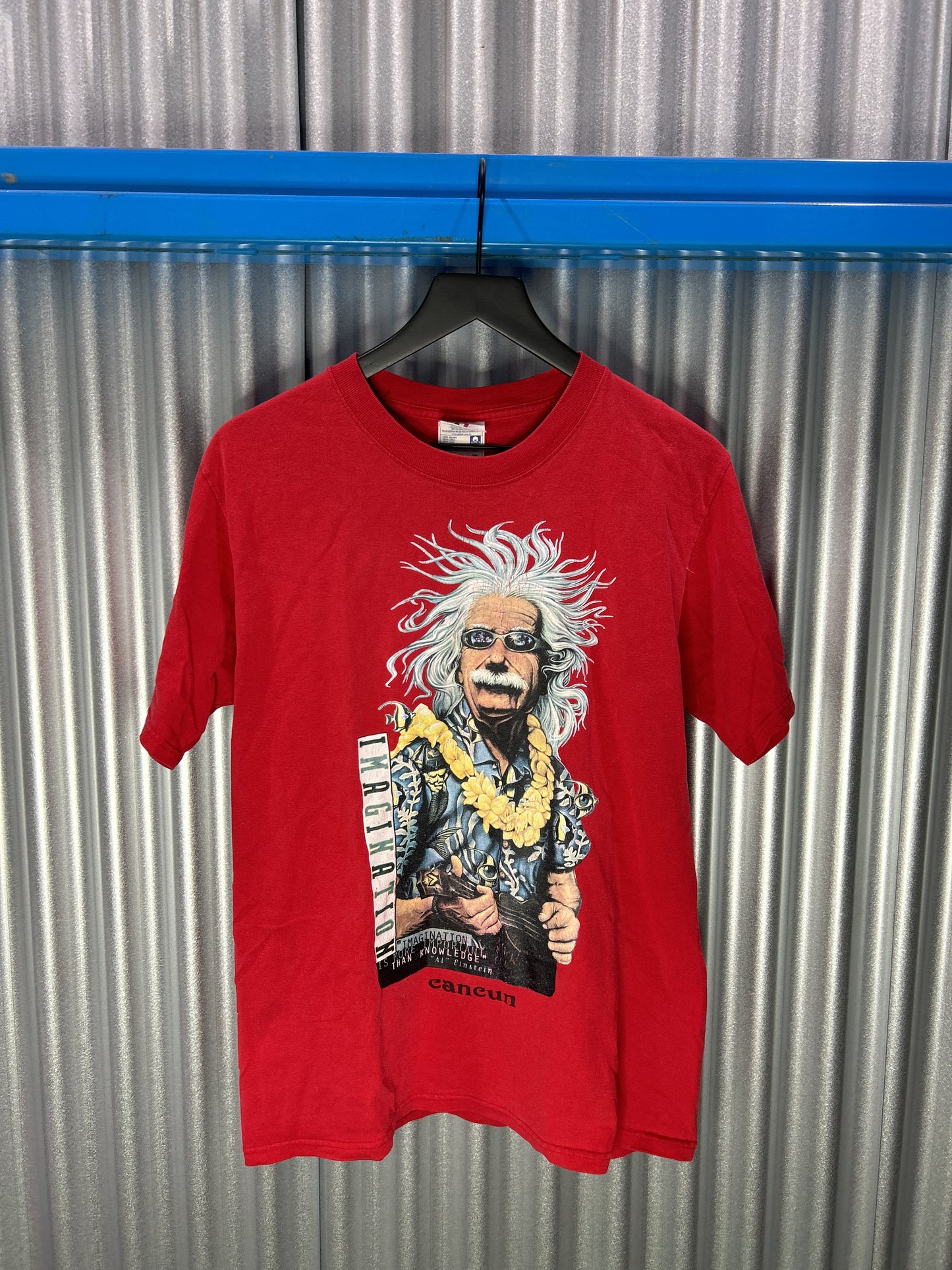 Albert Einstein 'Imagination' Vacation Graphic Tee