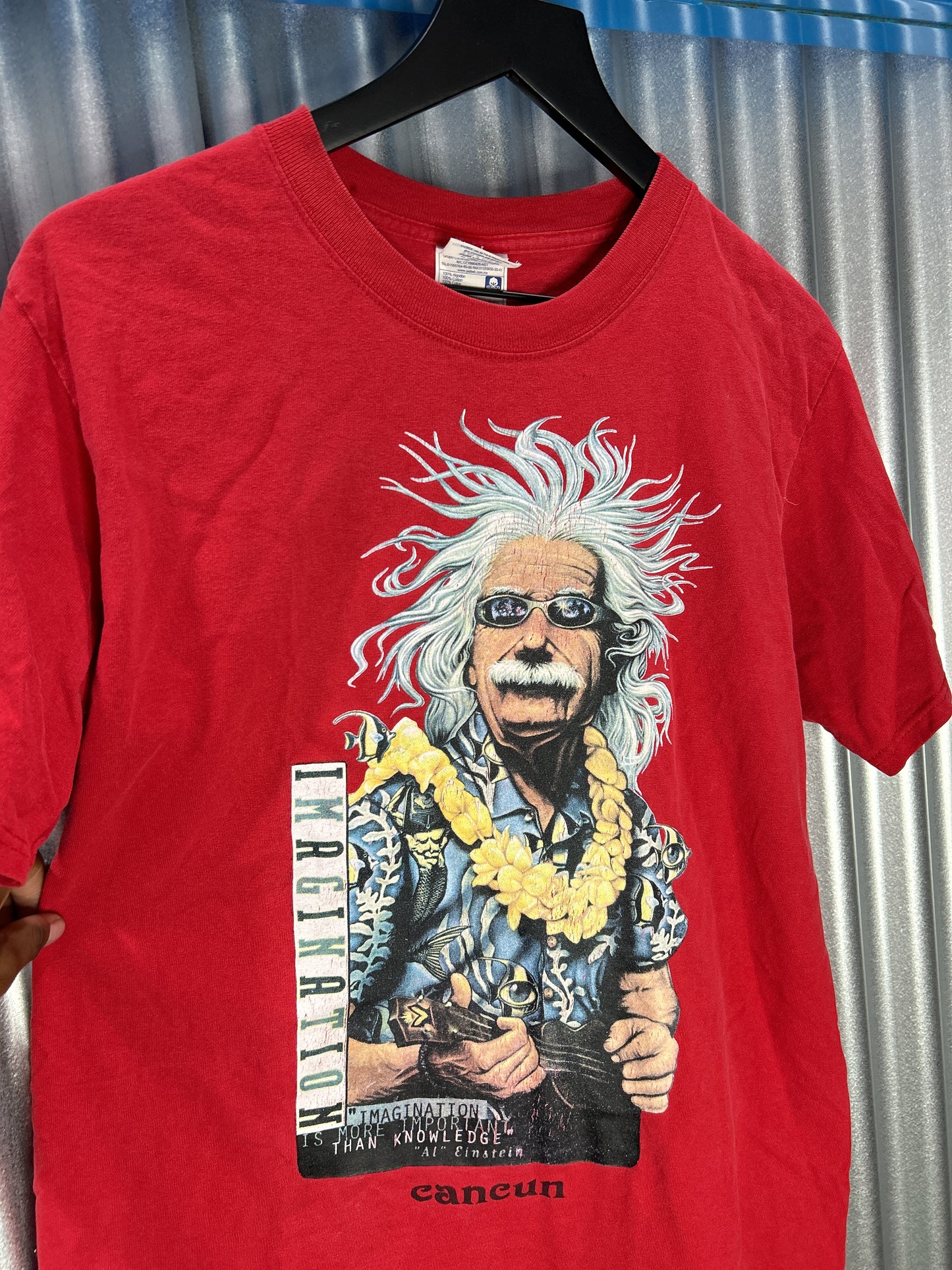 Albert Einstein 'Imagination' Vacation Graphic Tee