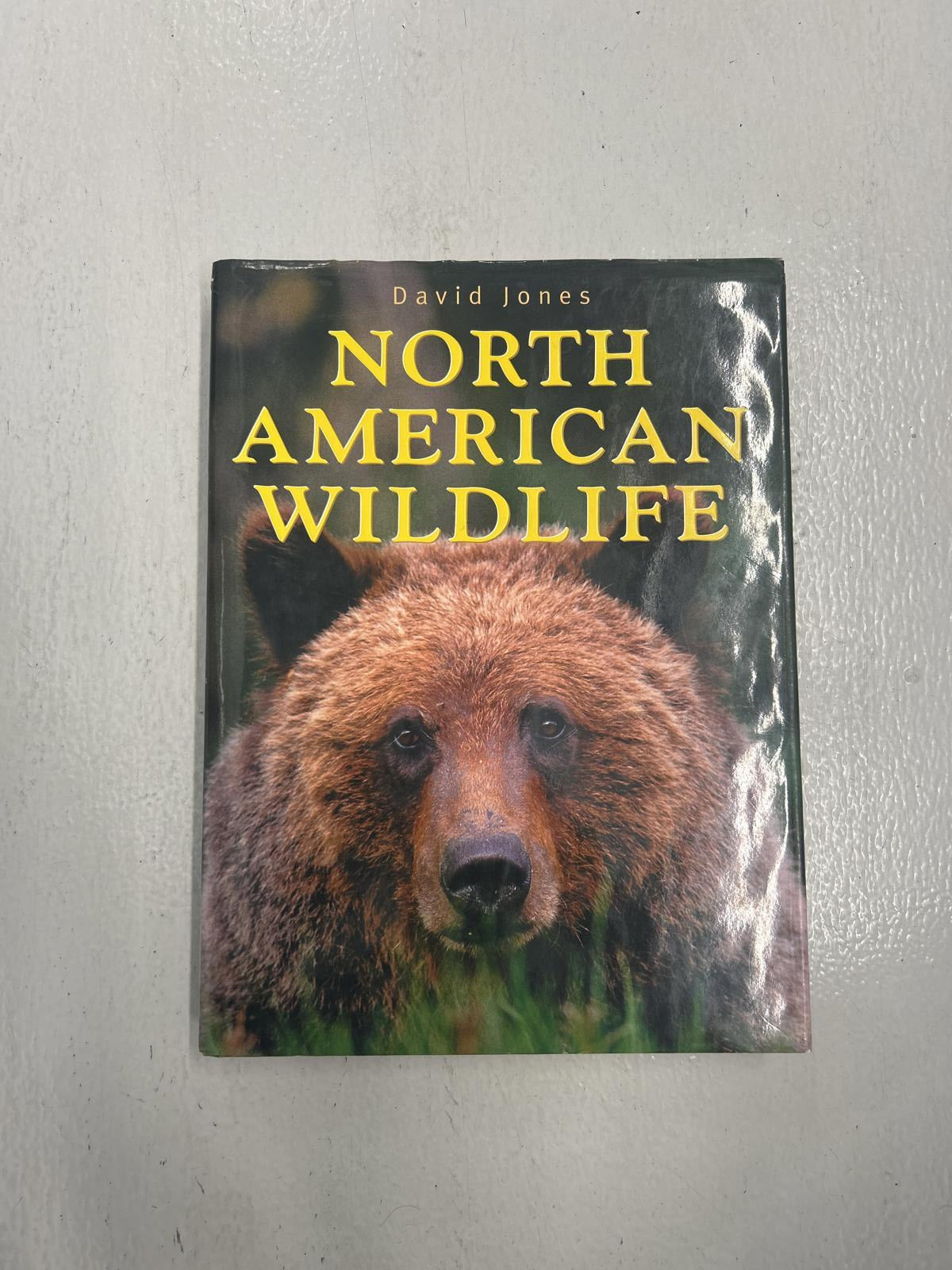 North American Wildlife by David Jones