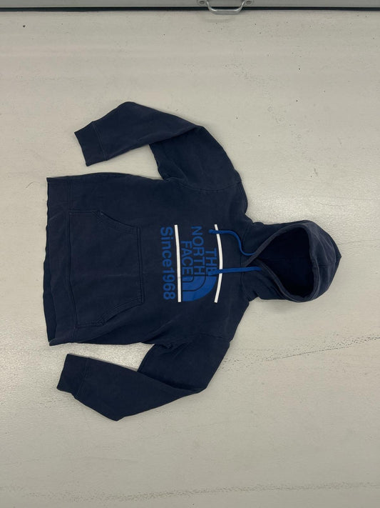 The North Face Performance Fabric Label Hoodie